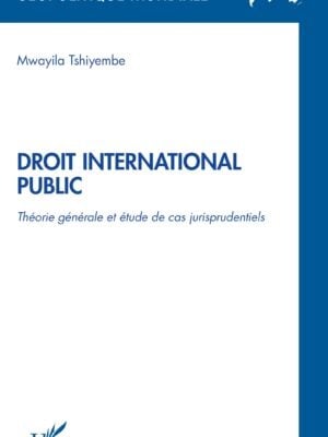 Droit international public : Théorie générale et étude de cas jurisprudentiels