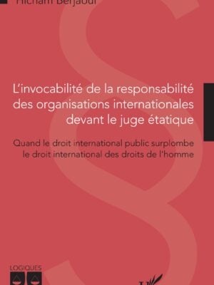 L'invocabilité de la responsabilité des organisations internationales devant le juge étatique : Quand le droit international public surplombe le droit international des droits de l'homme