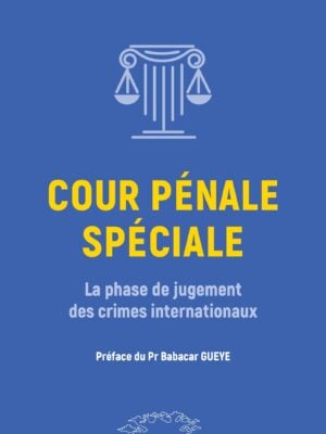 Cour pénale spéciale : La phase de jugement des crimes internationaux